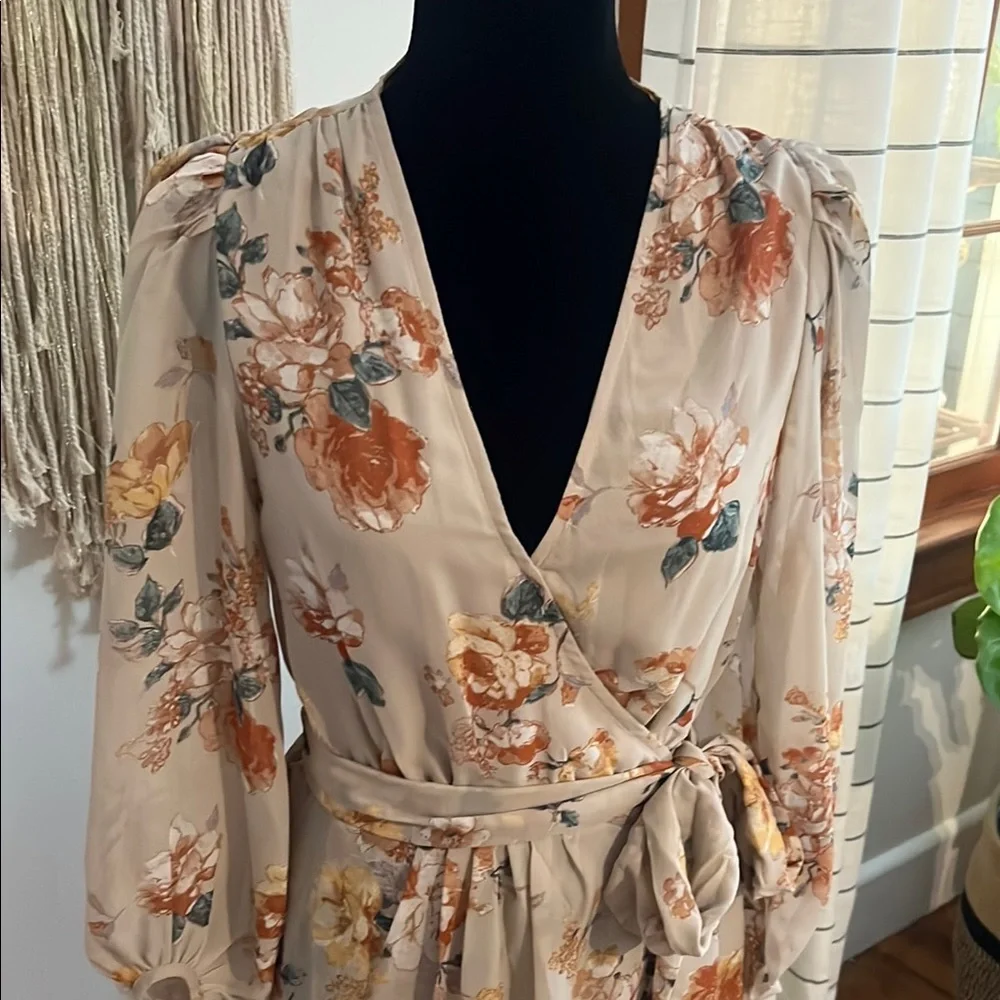 Hudson Gray Beige Floral Wrap Dress NWOTSheer Long Sleeve Tie Waist Size Small